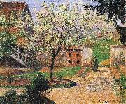Flowering Plum Tree, Eragny, Camille Pissarro